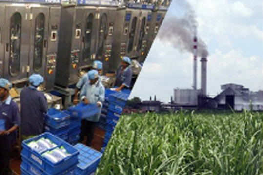 Dairy& Agro Based Industries